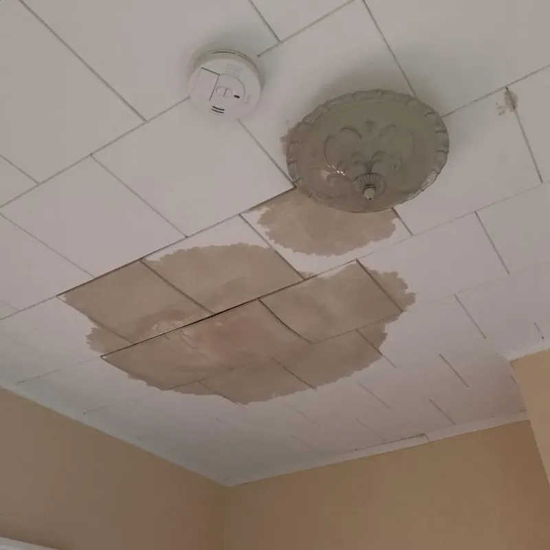 Ceiling Water Damage Repair in Saint Johnsbury, VT