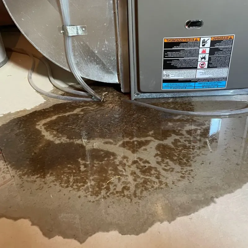 Pipe Burst and Leak Restoration in Saint Johnsbury, VT